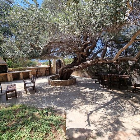 Olive Beach Villa Peyia Extérieur photo