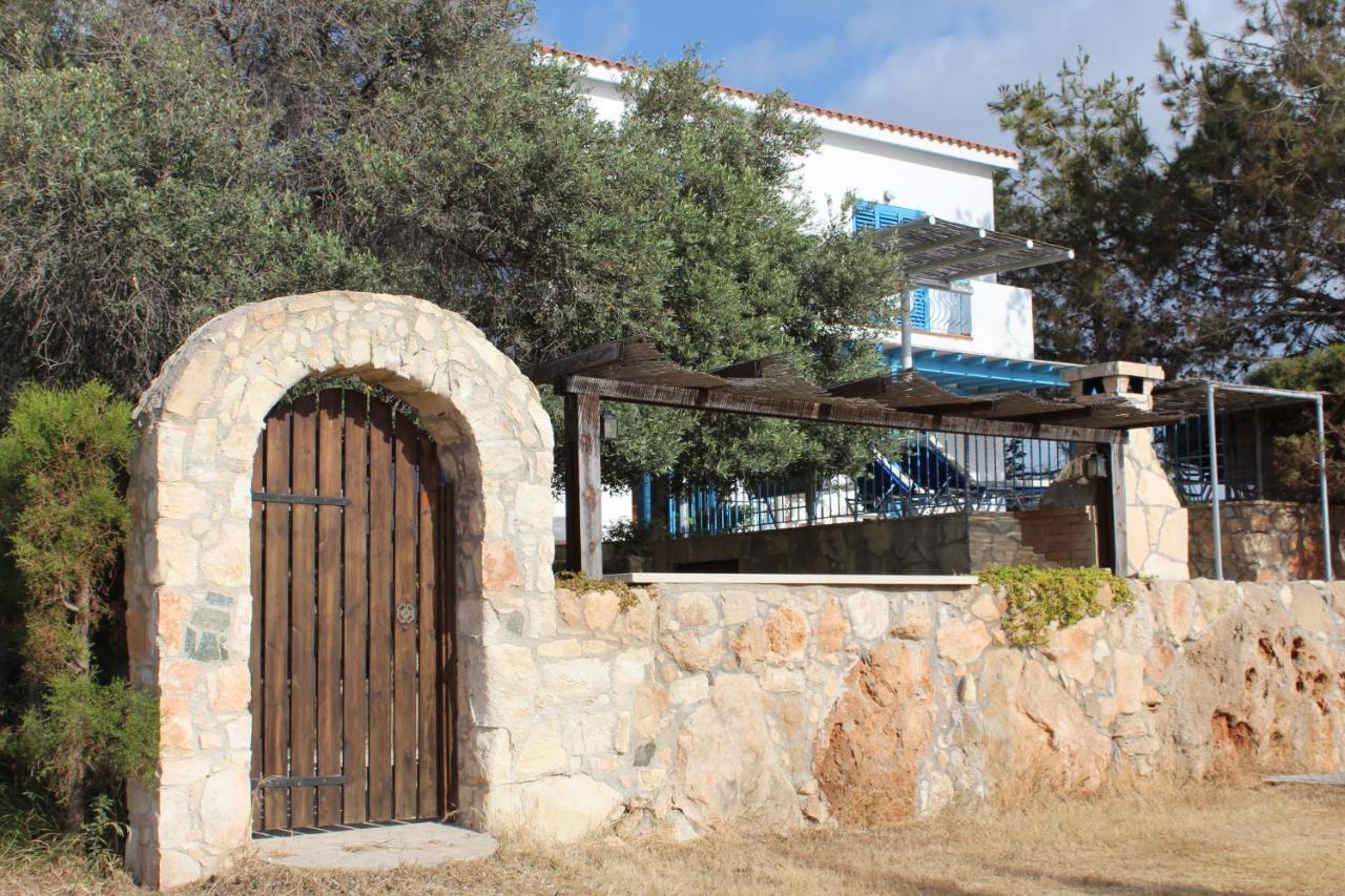 Olive Beach Villa Peyia Extérieur photo