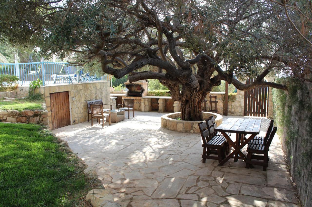 Olive Beach Villa Peyia Extérieur photo