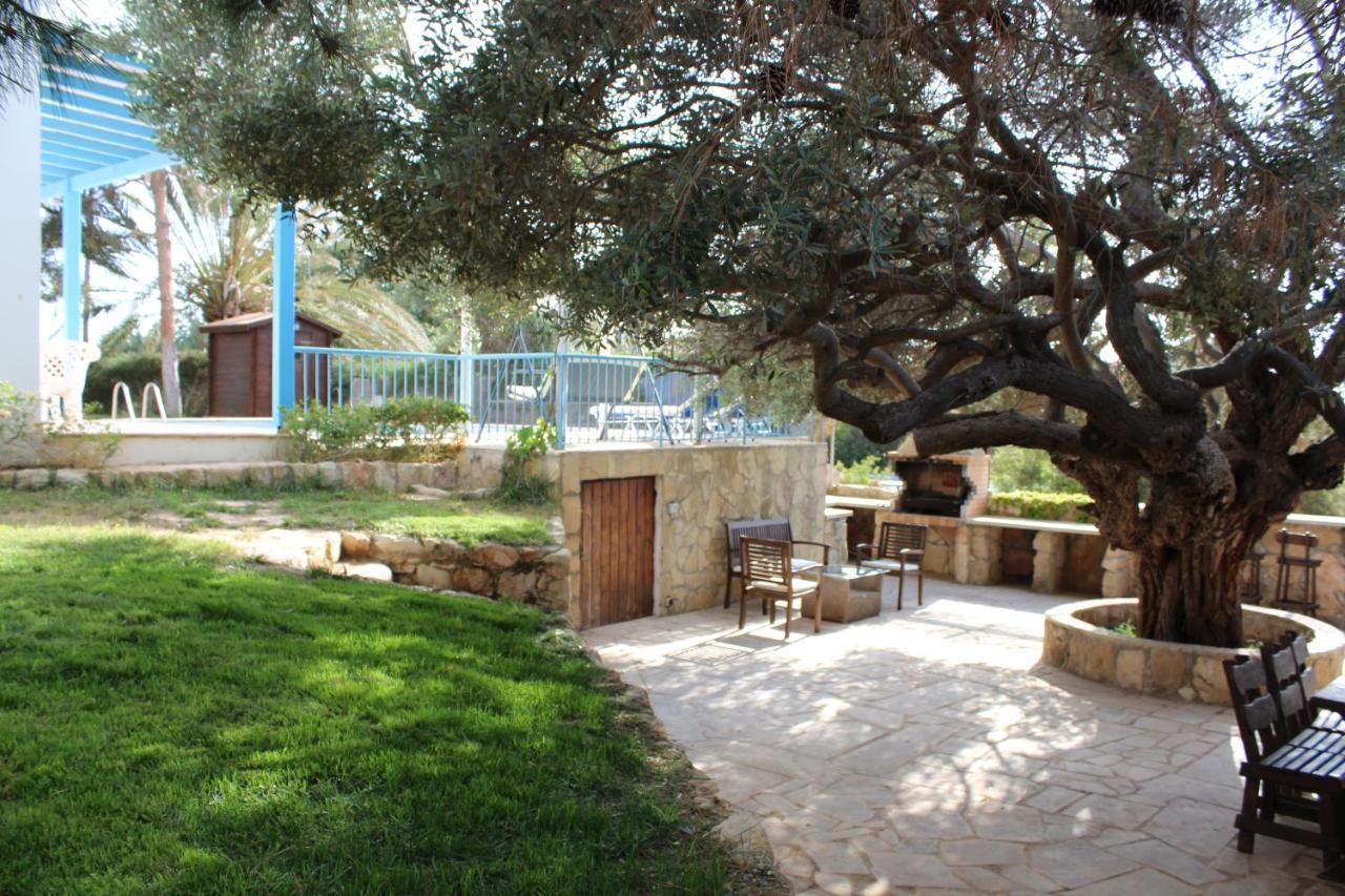 Olive Beach Villa Peyia Extérieur photo