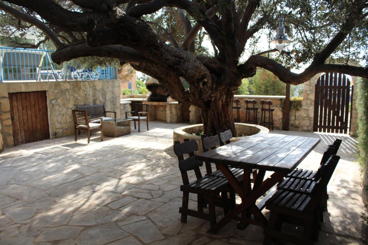 Olive Beach Villa Peyia Extérieur photo