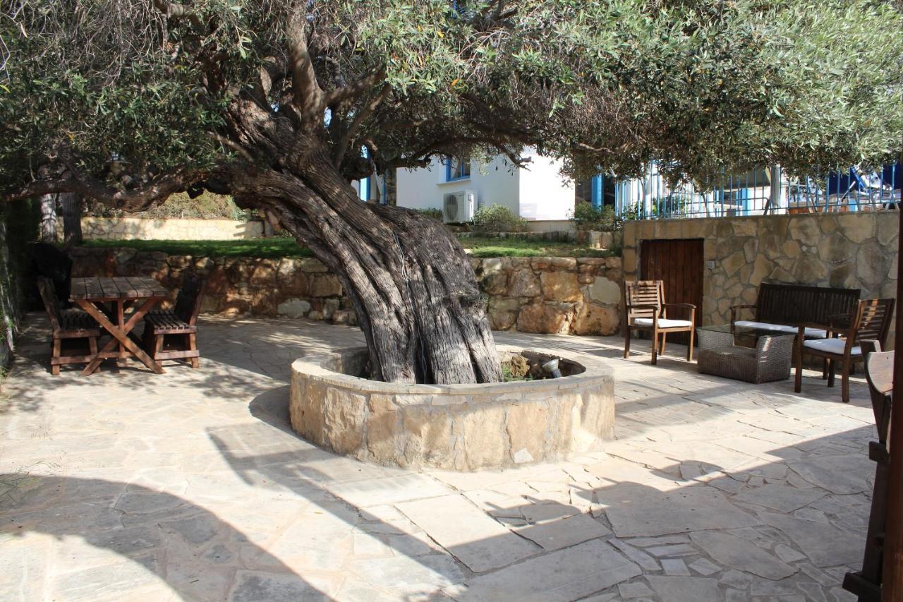 Olive Beach Villa Peyia Extérieur photo