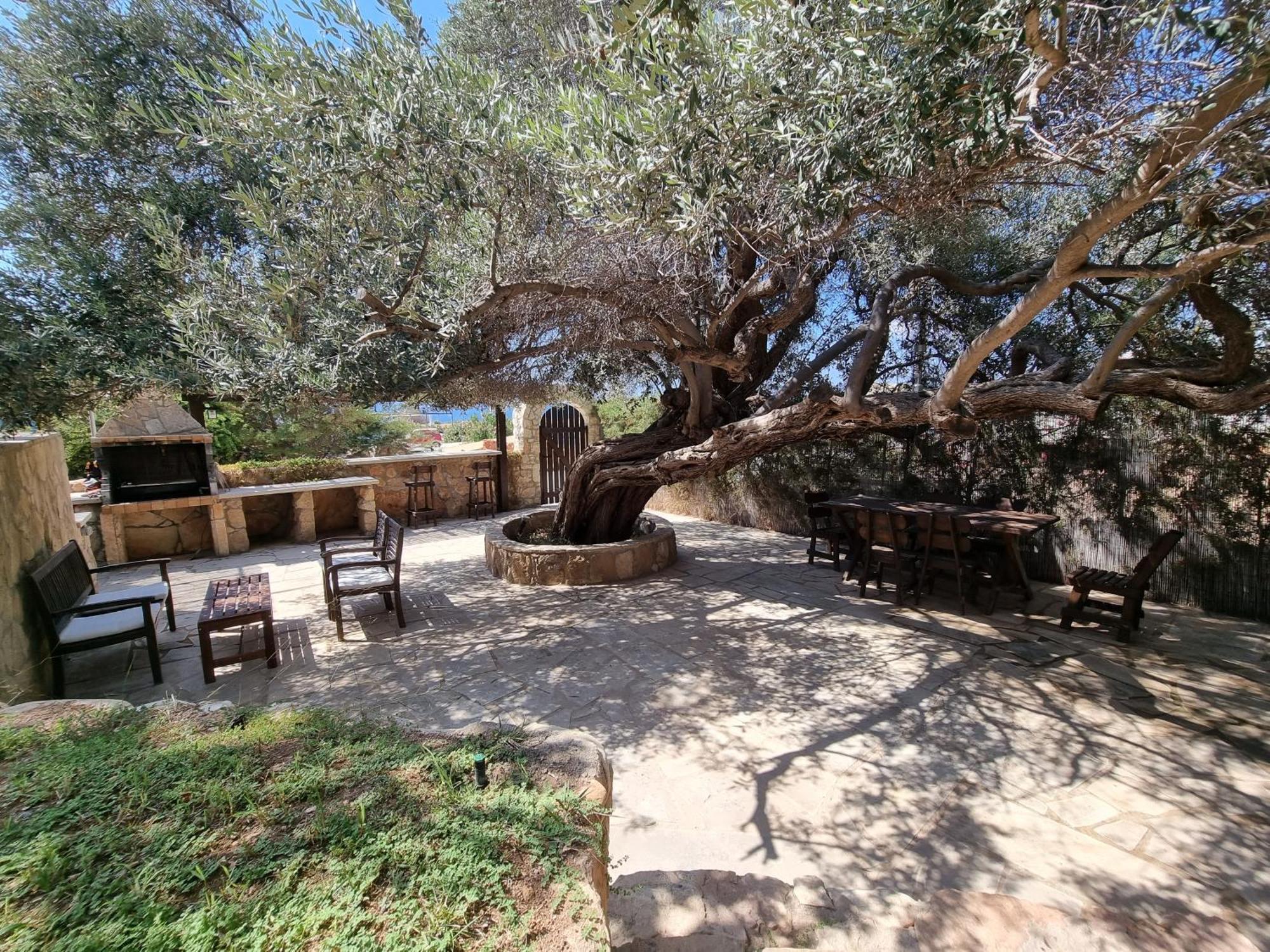 Olive Beach Villa Peyia Extérieur photo