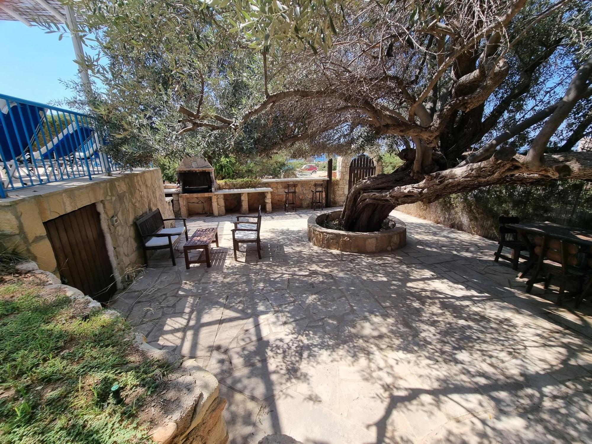 Olive Beach Villa Peyia Extérieur photo