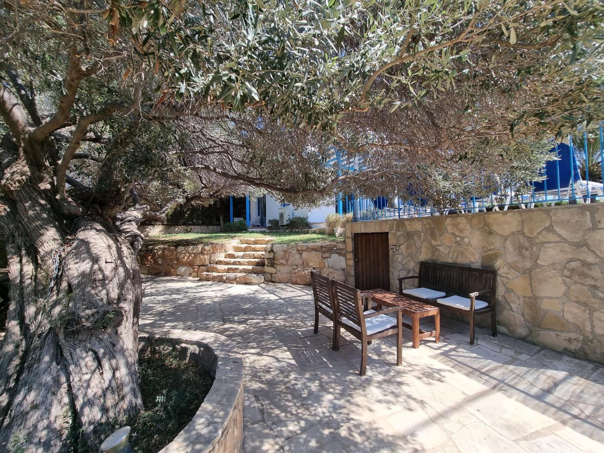 Olive Beach Villa Peyia Extérieur photo