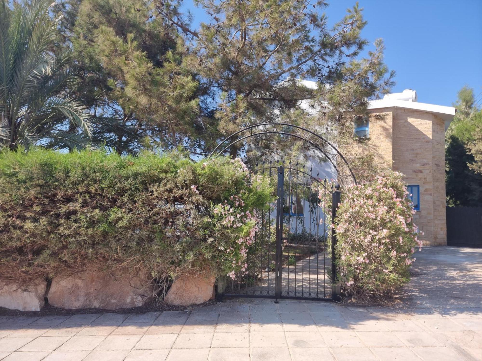 Olive Beach Villa Peyia Extérieur photo